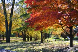 Gillson Park considered for listing in National Register of Historic Places!