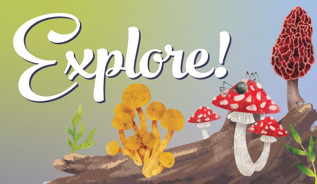 Late Fall 2025 seasonal programs art
