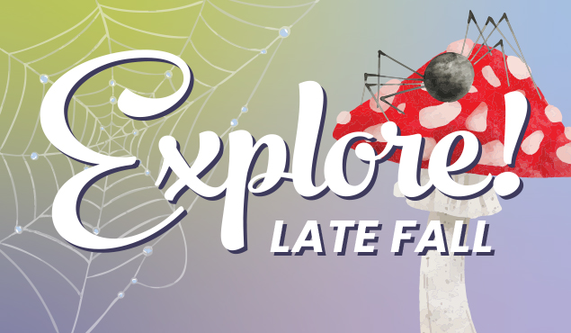 Late Fall 2025 seasonal programs art