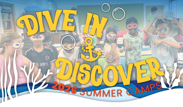 2026 Summer Camp registration art