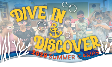 2026 Summer Camp registration art