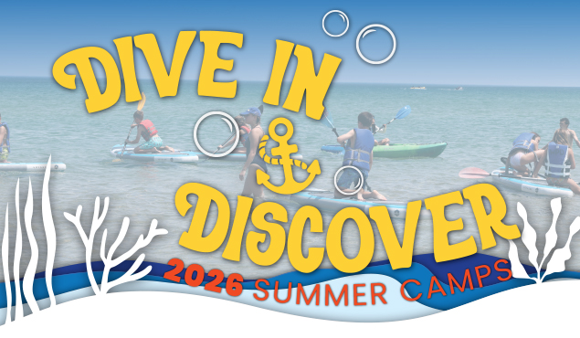 2026 Summer Camp registration art