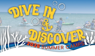 2026 Summer Camp registration art