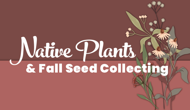 Native Plants workshop event art