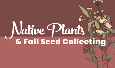 Native Plants workshop event art