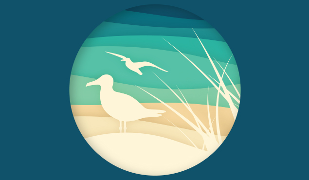 Summer Stewardship Elmwood Dunes workday art