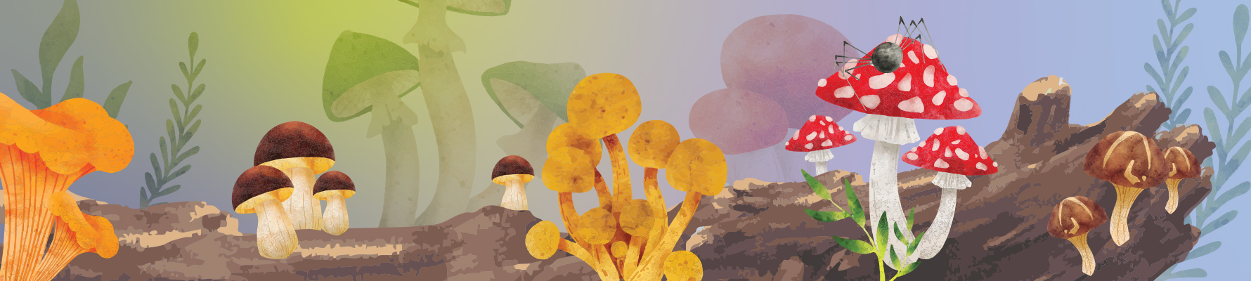 Late Fall 2025 Landing Page Art fall fungi