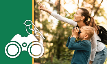 Birding Basics event image