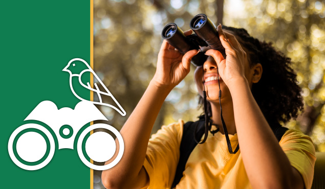 Birding Basics event image