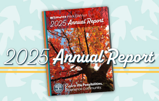 2025 Annual Report announcement image