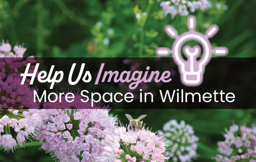 Imagine More Space in Wilmette
