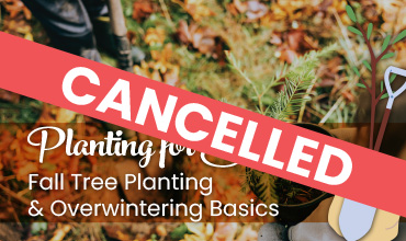Cancelled Planting for Success event art