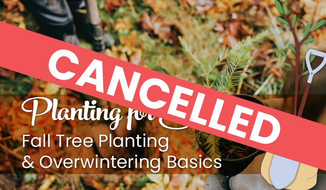 Cancelled Planting for Success event art