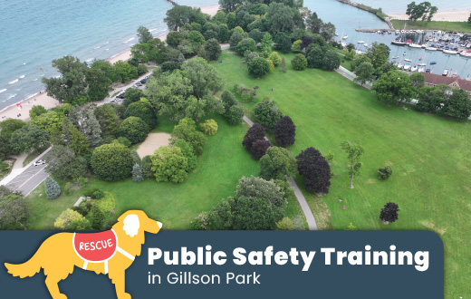 Public Safety Training in Gillson Park bulletin image