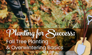 Planting for Success event art