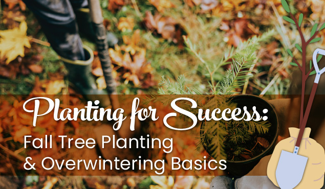 Planting for Success event art